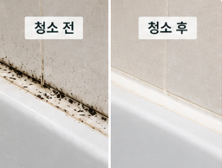 욕실 곰팡이 제거 전후 비교